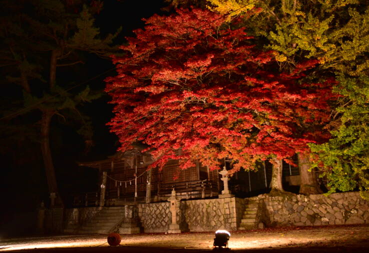 徳山神社　夜